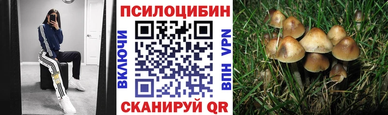 blacksprut как зайти  сколько стоит  Гороховец  Галлюциногенные грибы мухоморы 